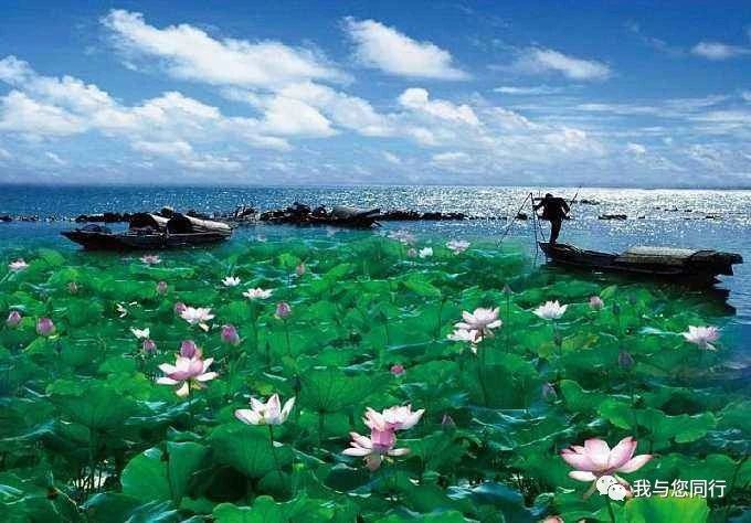微信图片_20200518101414.jpg